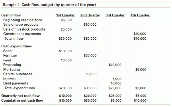 Cash flow budget